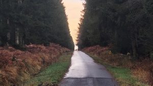 IMG_20251116_081219611