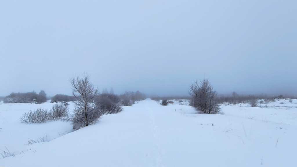 Winter expeditie Hoge Venen