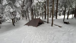 IMG_20260110_153440950