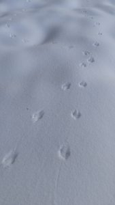 IMG_20260111_111609154